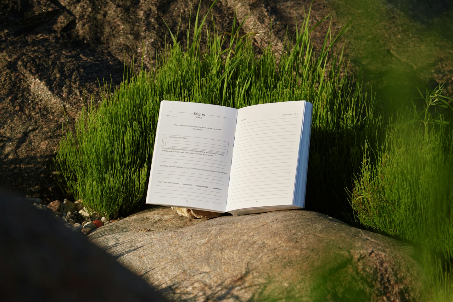Open dagboek op een grijze steen met groen gras.